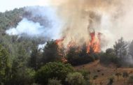 İzmir’de orman yangınına yeniden müdahale başladı