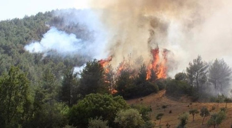 İzmir’de orman yangınına yeniden müdahale başladı