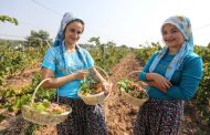 Buca'dan bağlara davet!