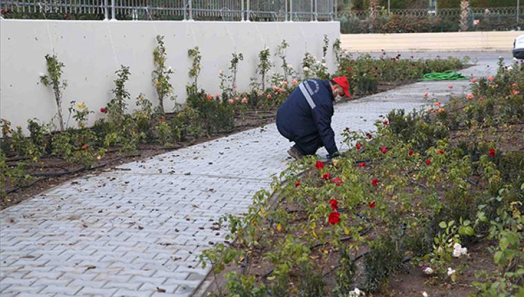 Karşıyaka’ya yeni gül bahçesi