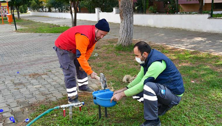 Narlıdere’de can dostlar için su kabı