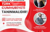 Türk Kadın Hareketinden ''Kuzey Kıbrıs Türk Cumhuriyeti tanınmalıdır'' sergi ve Paneli