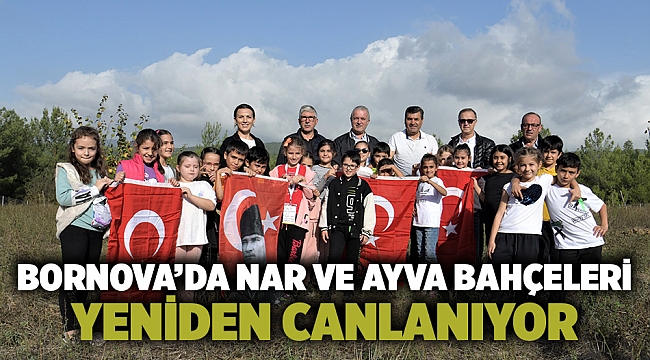 Bornova’da nar ve ayva bahçeleri yeniden canlanıyor