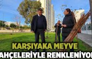 Karşıyaka meyve bahçeleriyle renkleniyor